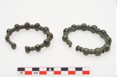 Foto von Bronzebuckelamreif (NHMW-PRAE-023937)